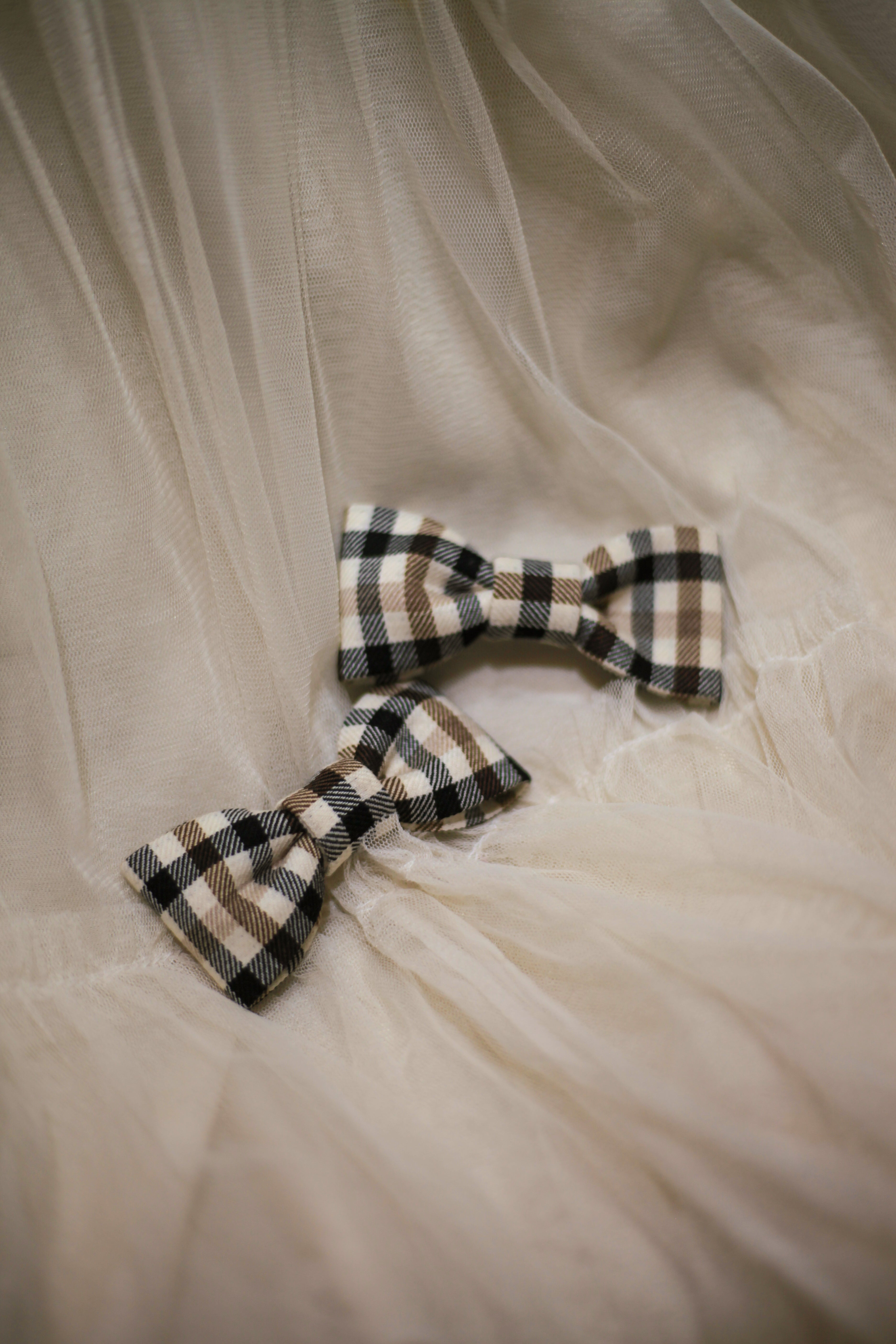 Grande Bow ||  Prep School